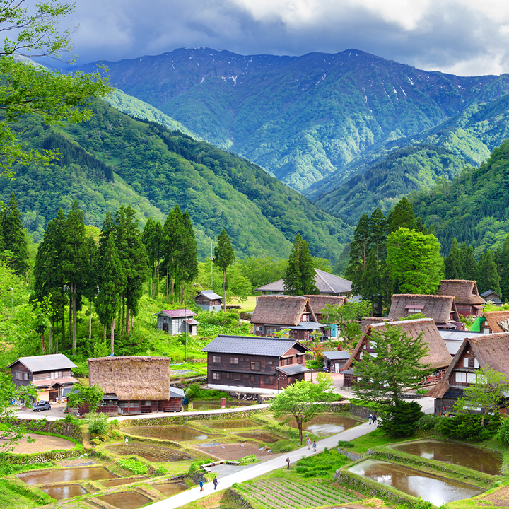 改善生態(tài)環(huán)境美化生活家園